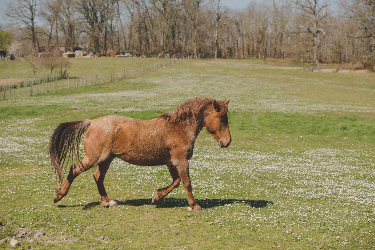 La Ferme De Bousserand Pontours Dış mekan fotoğraf